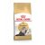 Royal Canin British Shorthair Adult fajtatáp 4kg