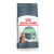 Royal Canin Digestive Care 85g