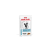 Royal Canin Feline Skin & Coat Gravy alutasakos eledel – 12x85g