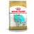 Royal Canin Golden Retriever Puppy 12kg
