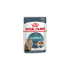 Royal Canin Hairball Care (12*85G) macskatáp