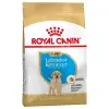 Royal Canin Labrador Retriever Puppy 3kg - kutya száraztáp