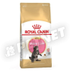 Royal Canin Maine Coon Kitten fajtatáp 400g