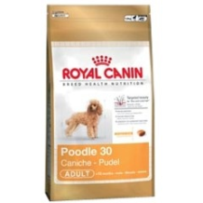 Royal Canin Poodle Adult 500g kutyaeledel