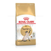 Royal Canin Siamese ADULT 2 kg