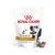  Royal Canin Urinary S/O Treats 230g - kutya jutalomfalat