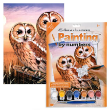 Royal & Langnickel Számozott kifestő készlet, akrilfesték+ecset, 22x30 cm - Baglyok akrilfesték