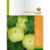  ROYAL SLUIS NAGYKÚTI PAPRIKA VETŐMAG