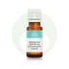  Rozmaring CT Verbenon - Rosmarinus officinalis CT3 verbenone illóolaj - Bio - 10ml - Panarom