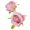  Rózsa virágfej 6cm mauve 830