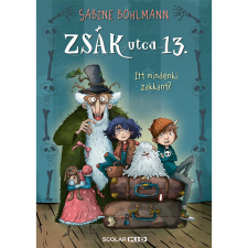 Sabine Bohlmann Itt mindenki zakkant? – Zsák utca 13. regény