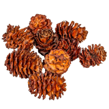  Salignum barna 10dkg/csom dekorációs kellék