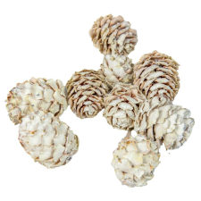  Salignum falfestékes fehér 10dkg/csom dekorációs kellék