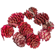  Salignum rózsaszín 10dkg/csom dekorációs kellék