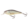 Salmo WOBBLER EXECUTOR IEX5SRF RD
