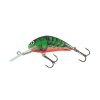 Salmo WOBBLER HORNET H2S RVC