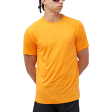 Salomon Cross Run Ss Tee M D férfi póló