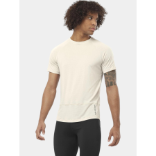 Salomon Cross Run Ss Tee M D férfi póló