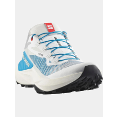 Salomon Genesis D