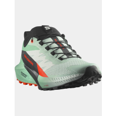 Salomon Sense Ride 5  D