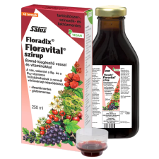 Salus floradix floravital szirup vassal és b-vitaminokkal 250 ml vitamin és táplálékkiegészítő