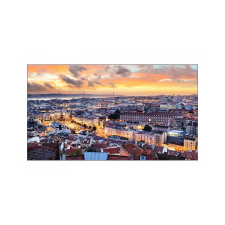 Samsung VH55C-E (LH55VHCEBGBXEN) monitor