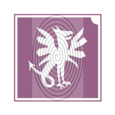 Sárkány (csss0537) csillámtetoválás