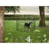 Savic SAVIC Dog Park Delux - Kutyaovi (rácsos) Ø61cm/107cm