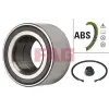 Schaeffler FAG kerékcsapágy készlet 713 6189 10