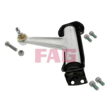Schaeffler FAG lengőkar, kerékfelfüggesztés 821 0202 10 autóalkatrész