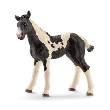 Schleich 13803 Colt Pinto játékfigura