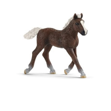 Schleich 13899 A Fekete-erdő csikója játékfigura