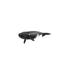 Schleich 14878 Észak-atlanti bálna figura - Wild Life játékfigura