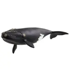 Schleich : Észak-atlanti bálna figura (14878) játékfigura