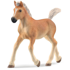 Schleich Haflingi csikó játékfigura