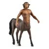 Schleich Harry Potter - Firenze 13986