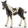 Schleich Pinto csikó 13803 Schleich