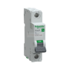 SCHNEIDER Easy9 Pro kismegszakító 1P B 6A 6kA