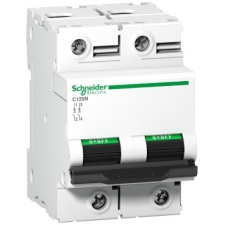 Schneider Electric Kismegszakító 2P,100A, D karakterisztika, 10 kA Acti9 C120N (Schneider A9N18384) villanyszerelés