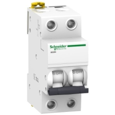 Schneider Electric Kismegszakító 2P,1A, C karakterisztika, 6 kA Acti9 IK60N (Schneider A9K24201) villanyszerelés