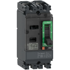 Schneider Electric NSX100M 80A 2P 85KA DC megszakító C10M2TM080 Schneider villanyszerelés