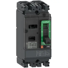 Schneider Electric SCHNEIDER C16F2TM125 ÚJ GENNSX160F 125A 2P 36KA DC megszakító villanyszerelés