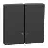 Schneider Electric Schneider MTN3420-6034 MERTEN Dupla billentyű, fényjelzős funkciókhoz, D-Life, antracit
