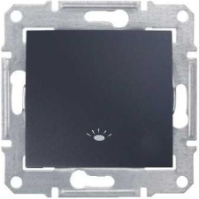 Schneider Electric Schneider SDN0900170 SEDNA lámpajellel/rugós bekötés/10A/grafit egypólusú nyomó (SDN0900170) villanyszerelés