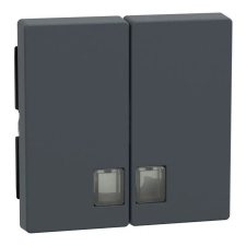 SCHNEIDER MERTEN Dupla billentyű, átlátszó fényjelző ablakokkal, System-M, antracit 437514 Schneider villanyszerelés