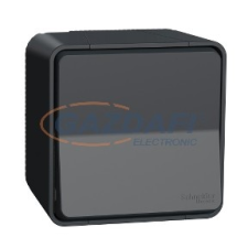 SCHNEIDER MUR35033 MUREVA Styl Kétpólusú kapcsoló, 16 AX, komplett (102), antracitszürke villanyszerelés