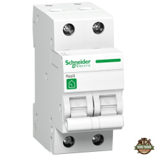SCHNEIDER R9F14210 RESI9 2P C 10A kismegszakító villanyszerelés