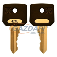 SCHNEIDER ZBG421E Kulcs készlet 421 E tip. villanyszerelés