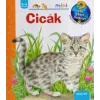 Scolar Kiadó Cicák | Patricia Mennen