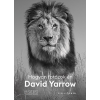 Scolar Kiadó Kft. Hogyan fotózok én - David Yarrow